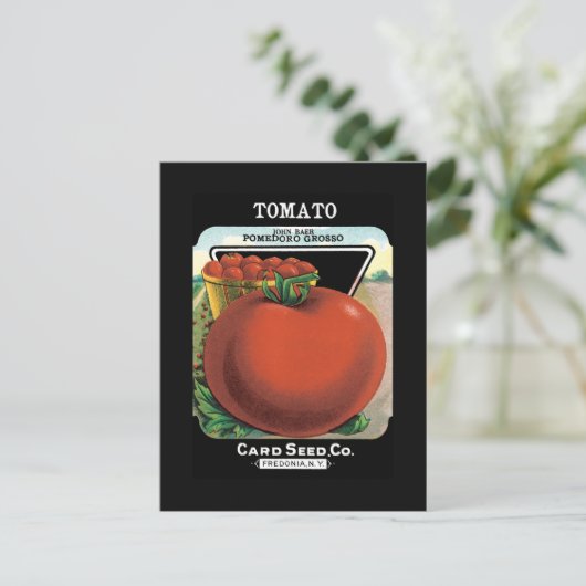 Tomatenpakket Briefkaart (Staand voorkant)