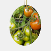 TomatenPlant Keramisch Ornament (Rechts)