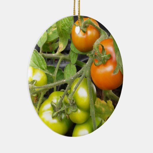 TomatenPlant Keramisch Ornament (Rechts)