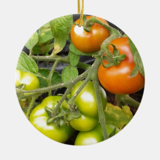 TomatenPlant Keramisch Ornament (Voorkant)