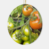 TomatenPlant Keramisch Ornament (Links)
