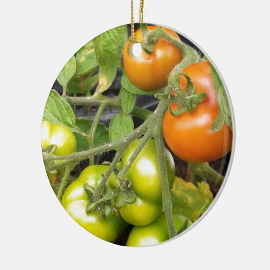 TomatenPlant Keramisch Ornament (Links)