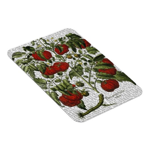 TomatenPlant Magneet (Rechterzijde)