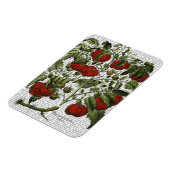 TomatenPlant Magneet (Linkerzijde)