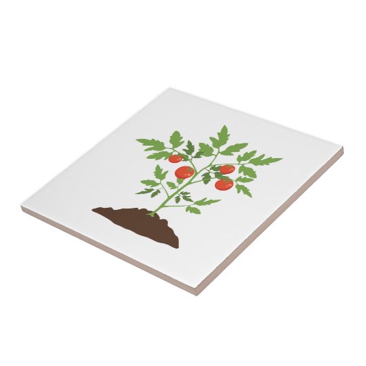 TomatenPlant Tegeltje (Zijkant)