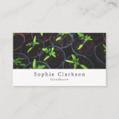 TomatenPlanten, tuinbouw, tuinbouwer Visitekaartje (Voorkant)