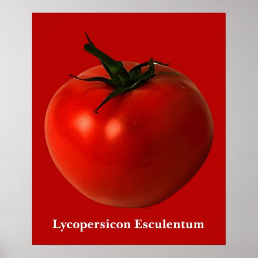 tomatensart poster (Voorkant)
