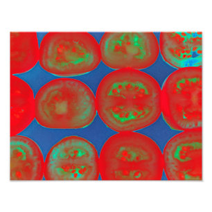 tomatenslakken foto afdruk