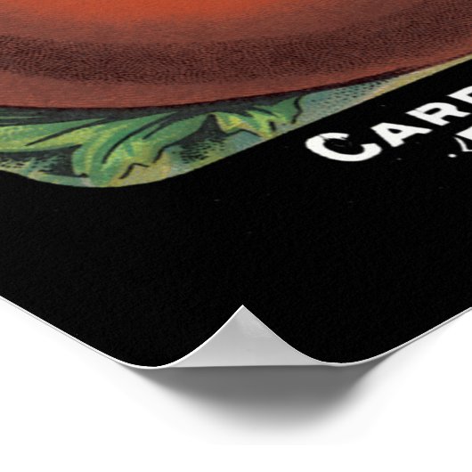 Tomatenverpakking voor  zaaizaad poster (Hoek)