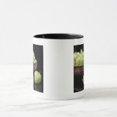 Tomatillos Mok (Midden)