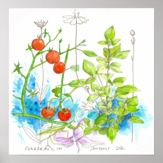 Tomato Basil Herbs Waterverf Garden Flowers Poster (Voorkant)
