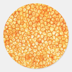 Tomato cells under a microscope ronde sticker