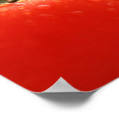 Tomato Close-up Poster (Hoek)