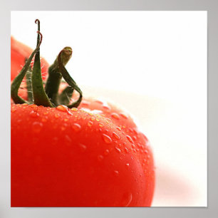 Tomato Close-up Poster