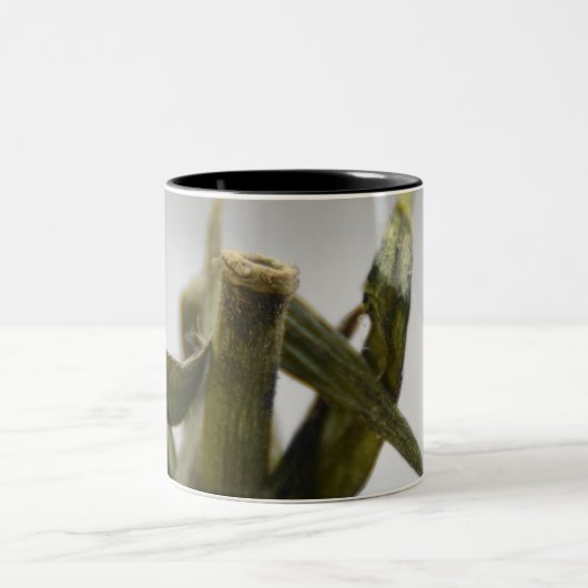 Tomato Coffee-Mok Tweekleurige Koffiemok (Center)