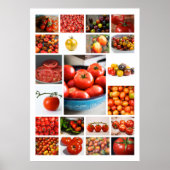 TOMATO Collage Poster (Voorkant)