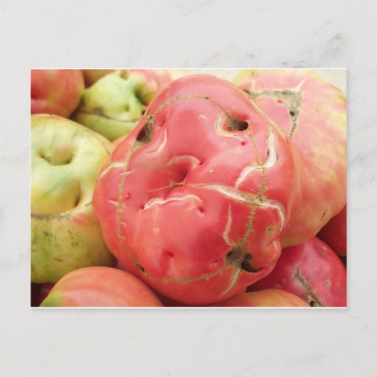 Tomato Face Briefkaart (Voorkant)