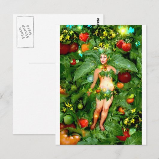 Tomato Fairy Briefkaart (Voorkant / Achterkant)