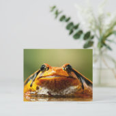 Tomato Frog Briefkaart (Staand voorkant)