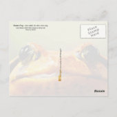 Tomato Frog Briefkaart (Achterkant)