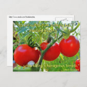 Tomato Fun Quote Briefkaart (Voorkant / Achterkant)