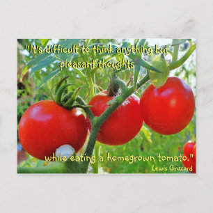 Tomato Fun Quote Briefkaart