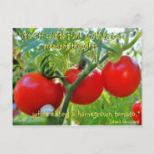 Tomato Fun Quote Briefkaart (Voorkant)