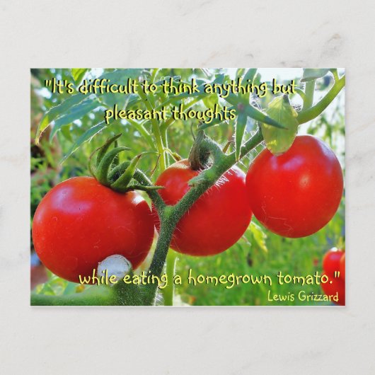 Tomato Fun Quote Briefkaart (Voorkant)