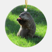 Tomato Groundhog Keramisch Ornament (Voorkant)