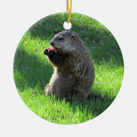 Tomato Groundhog Keramisch Ornament (Voorkant)
