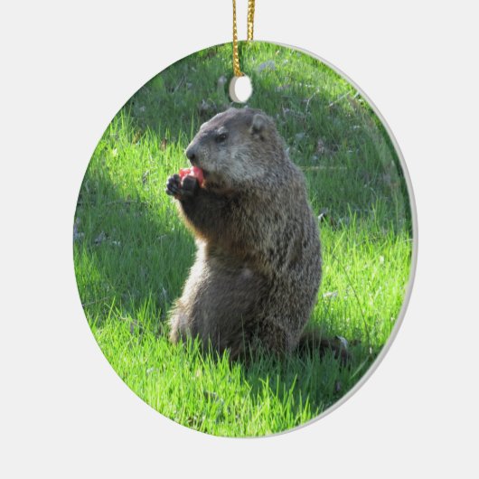 Tomato Groundhog Keramisch Ornament (Links)