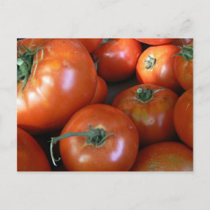 Tomato Harvest Briefkaart