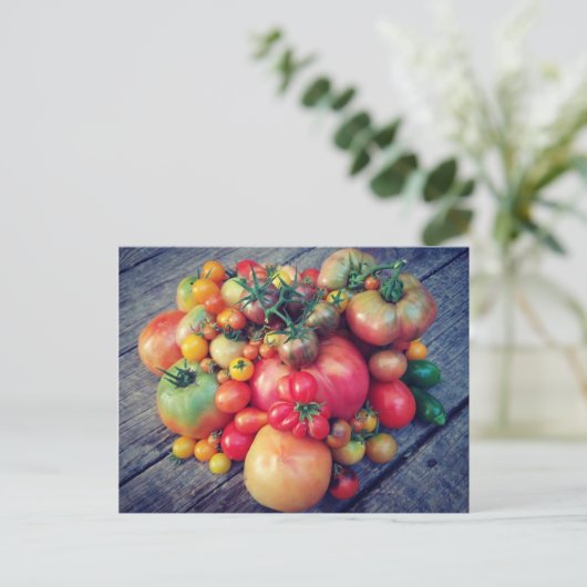 Tomato Harvest Briefkaart (Staand voorkant)