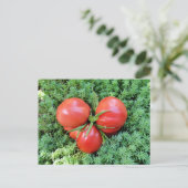 Tomato Heart Briefkaart (Staand voorkant)