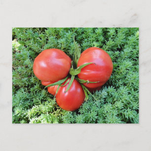 Tomato Heart Briefkaart