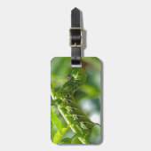 Tomato Hornworm Bagagelabel (Voorkant verticaal)