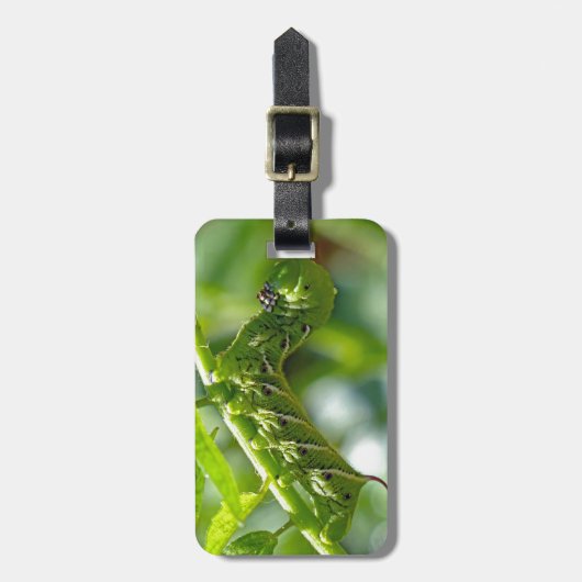 Tomato Hornworm Bagagelabel (Voorkant verticaal)