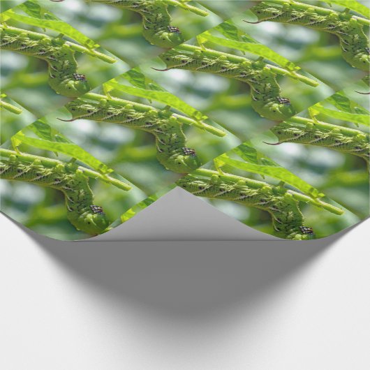 Tomato Hornworm Cadeaupapier (Hoek)