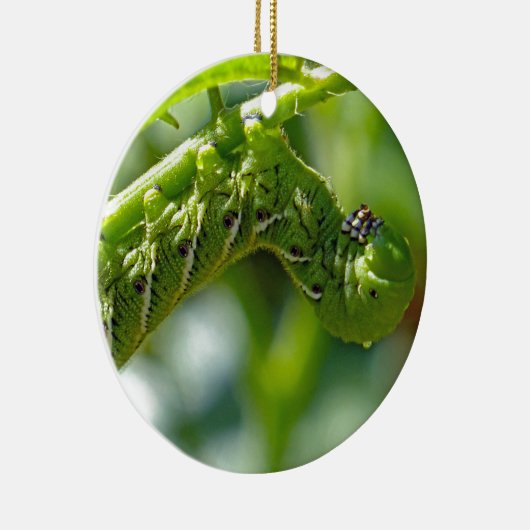 Tomato Hornworm Ceramic Ornament (Rechts)