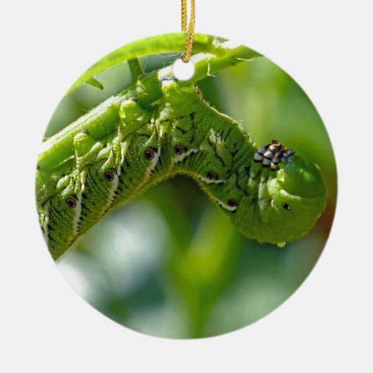 Tomato Hornworm Ceramic Ornament (Voorkant)