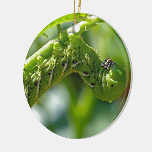 Tomato Hornworm Ceramic Ornament (Links)
