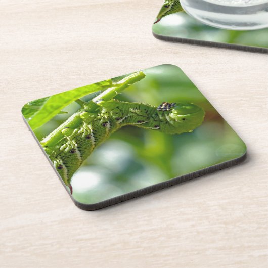 Tomato Hornworm Drankjes Onderzetter (Linkerzijde)