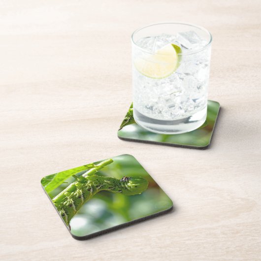 Tomato Hornworm Drankjes Onderzetter (Rechterzijde)