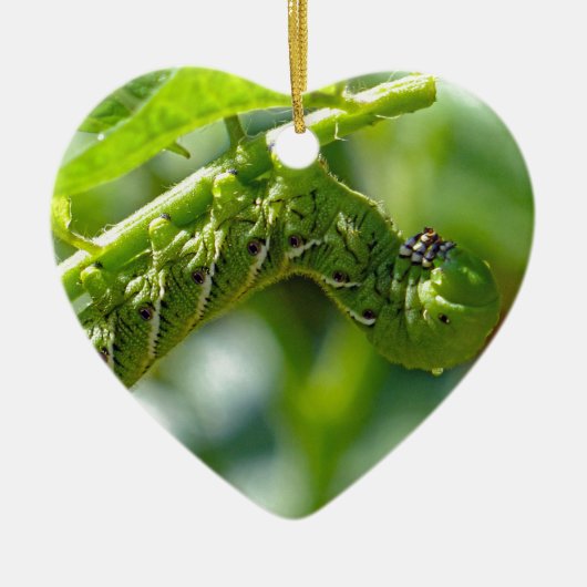 Tomato Hornworm Keramisch Ornament (Voorkant)