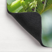 Tomato Hornworm Muismat (Hoek)