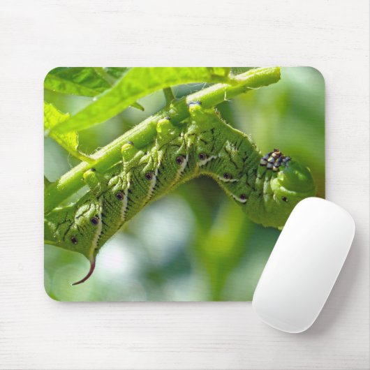Tomato Hornworm Muismat (Met muis)