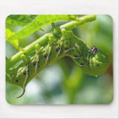Tomato Hornworm Muismat (Voorkant)