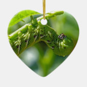 Tomato Hornworm Ornament (Voorkant)
