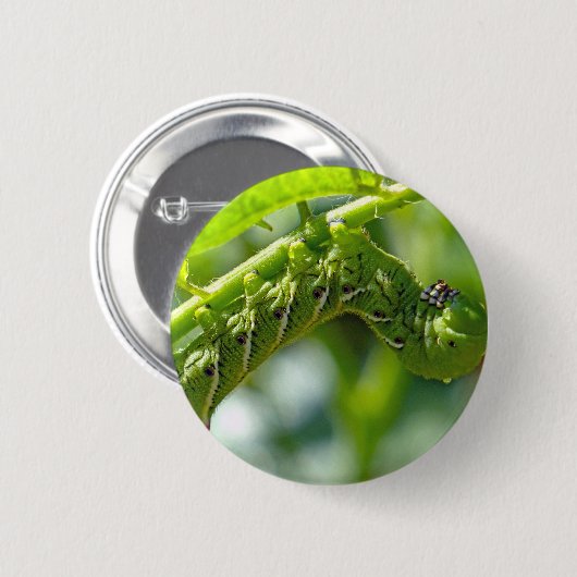 Tomato Hornworm Ronde Button 5,7 Cm (Voorkant /achterkant)