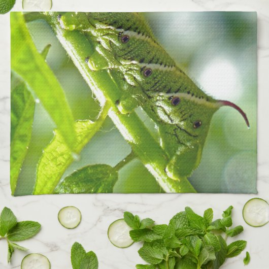 Tomato Hornworm Theedoek (Gevouwen)